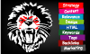 BD SEO Company