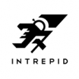 Intrepid Pursuits