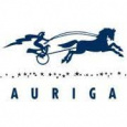 Auriga