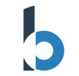 Binary Consulting & Software Solutions