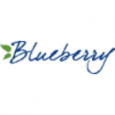 Blueberry Marketing