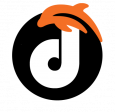 Dolphin Web Solution Pvt. Ltd.
