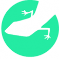 Lizard Global
