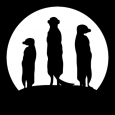 Meerkatly Software House