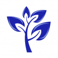 New Direction Family Law