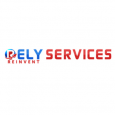 Rely Services Inc