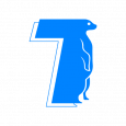 TechLane Srl