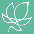 The Ivy Group