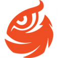 Wiser Web Solutions